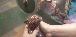 carved crystal crafts