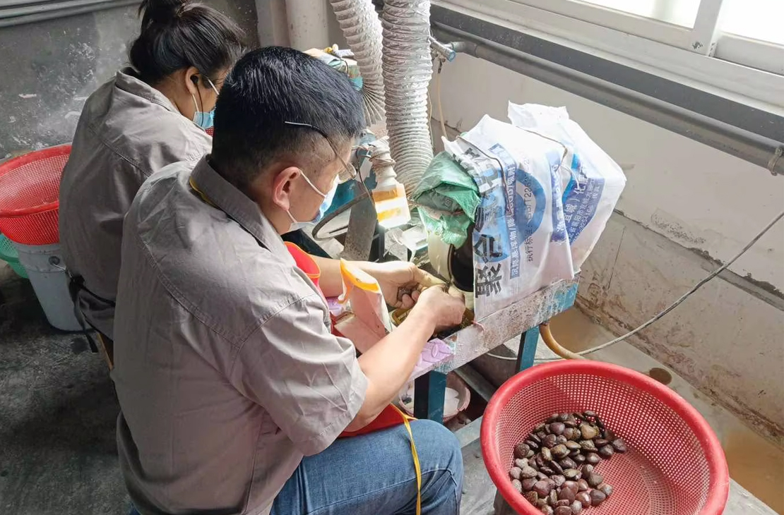 TERRA CRYSTAL WORKSHOP